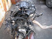 Двигатель на VW Golf IV 1.6 AKL BFQ AVU AEE